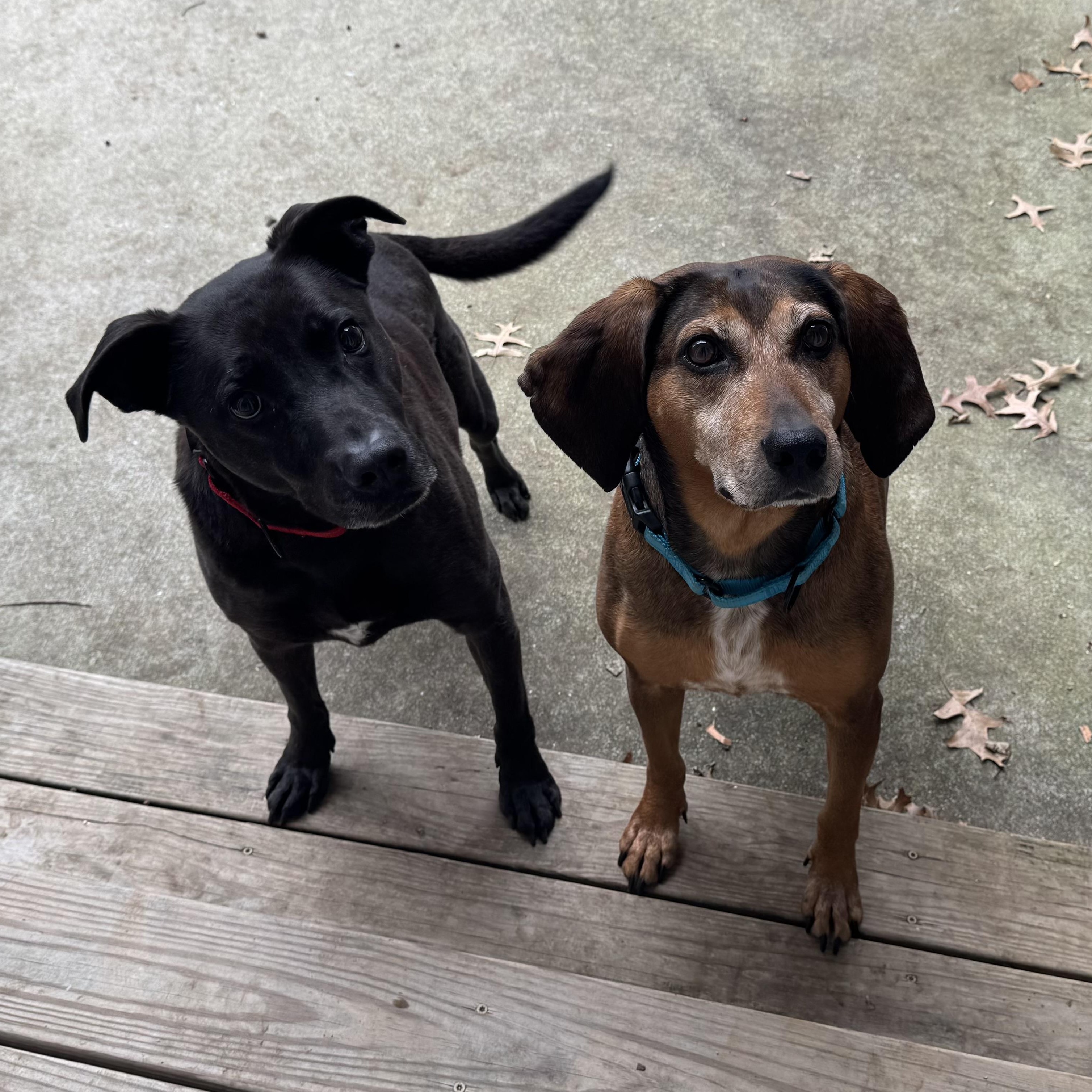 Cash — thumbnail 2