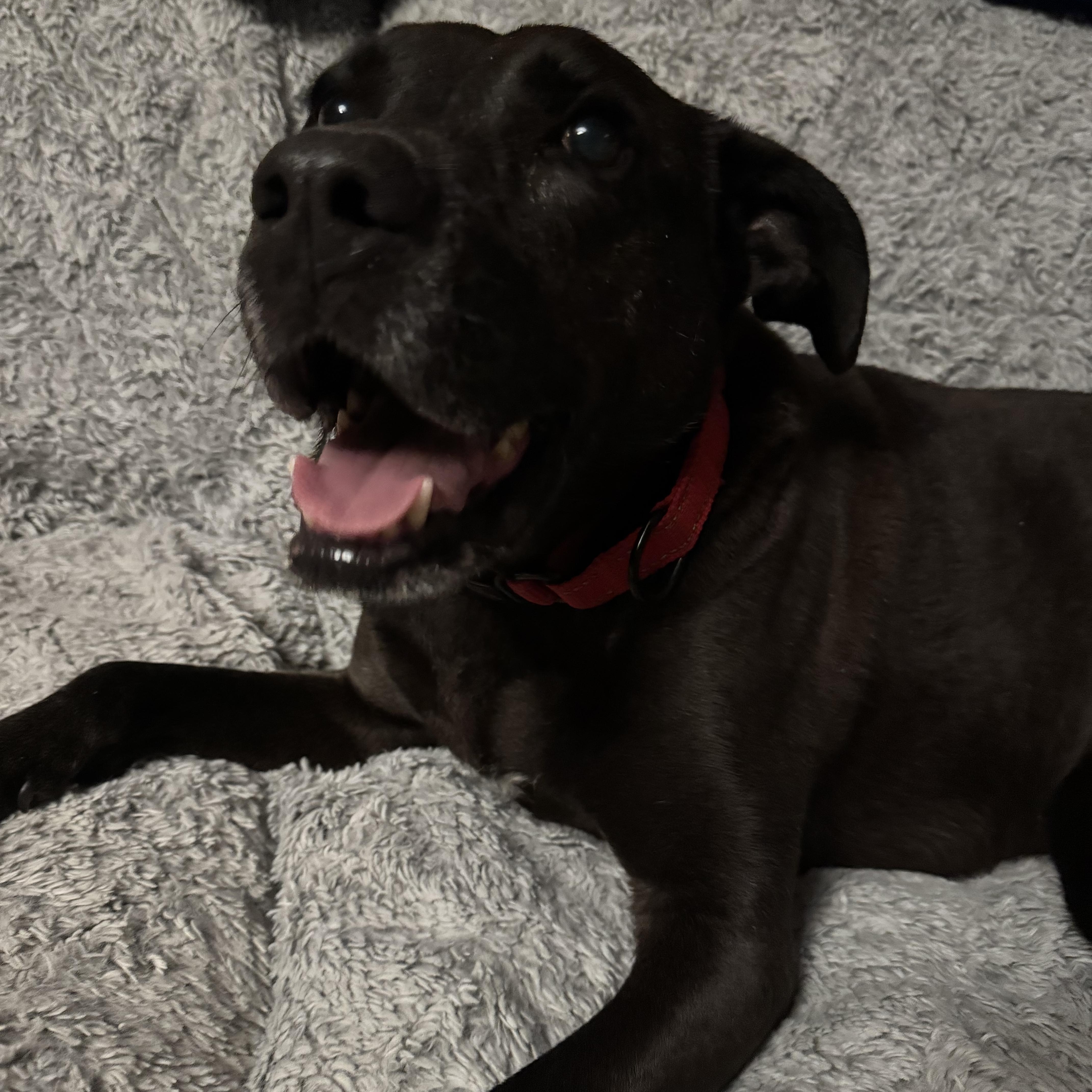 Cash — thumbnail 3