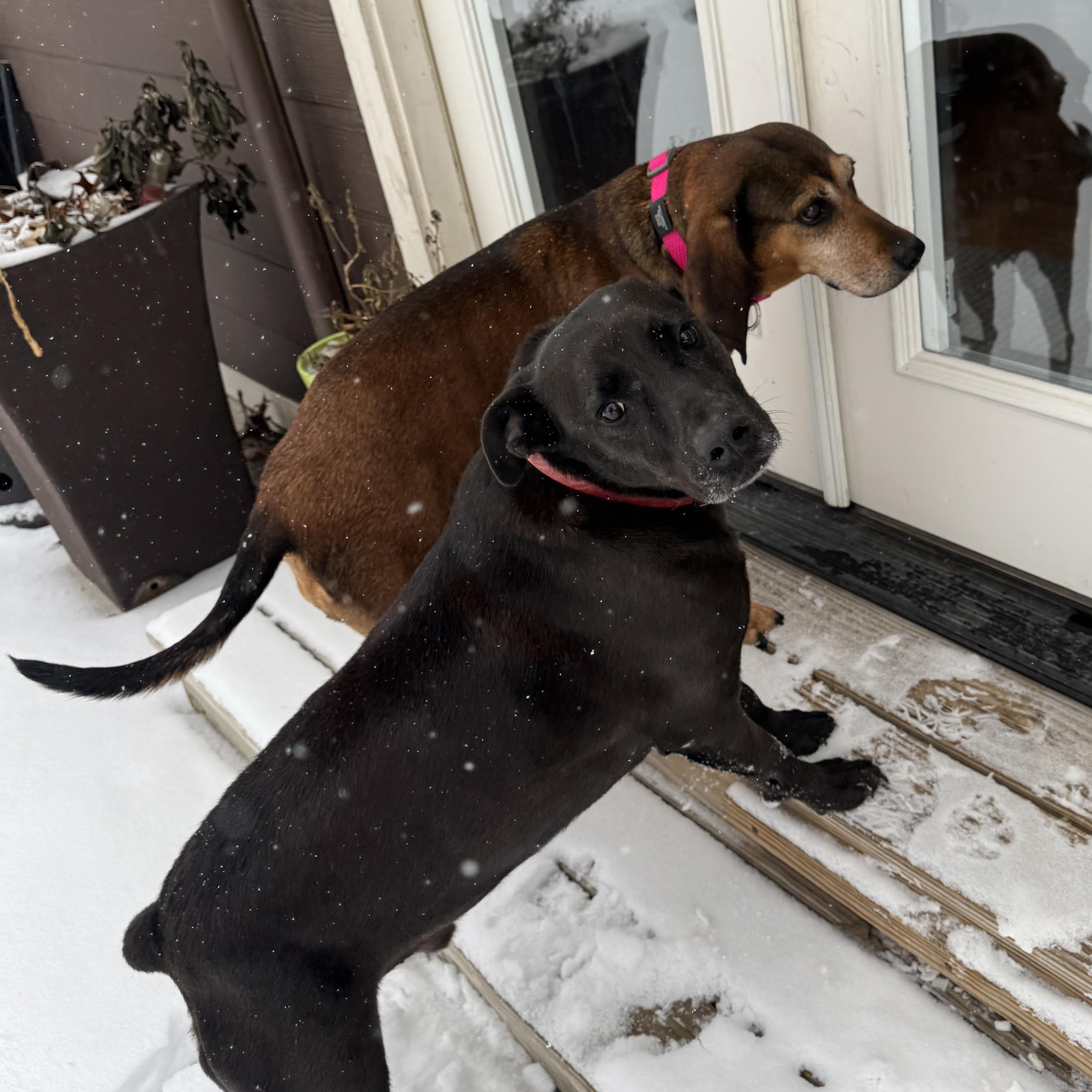 Cash — thumbnail 4