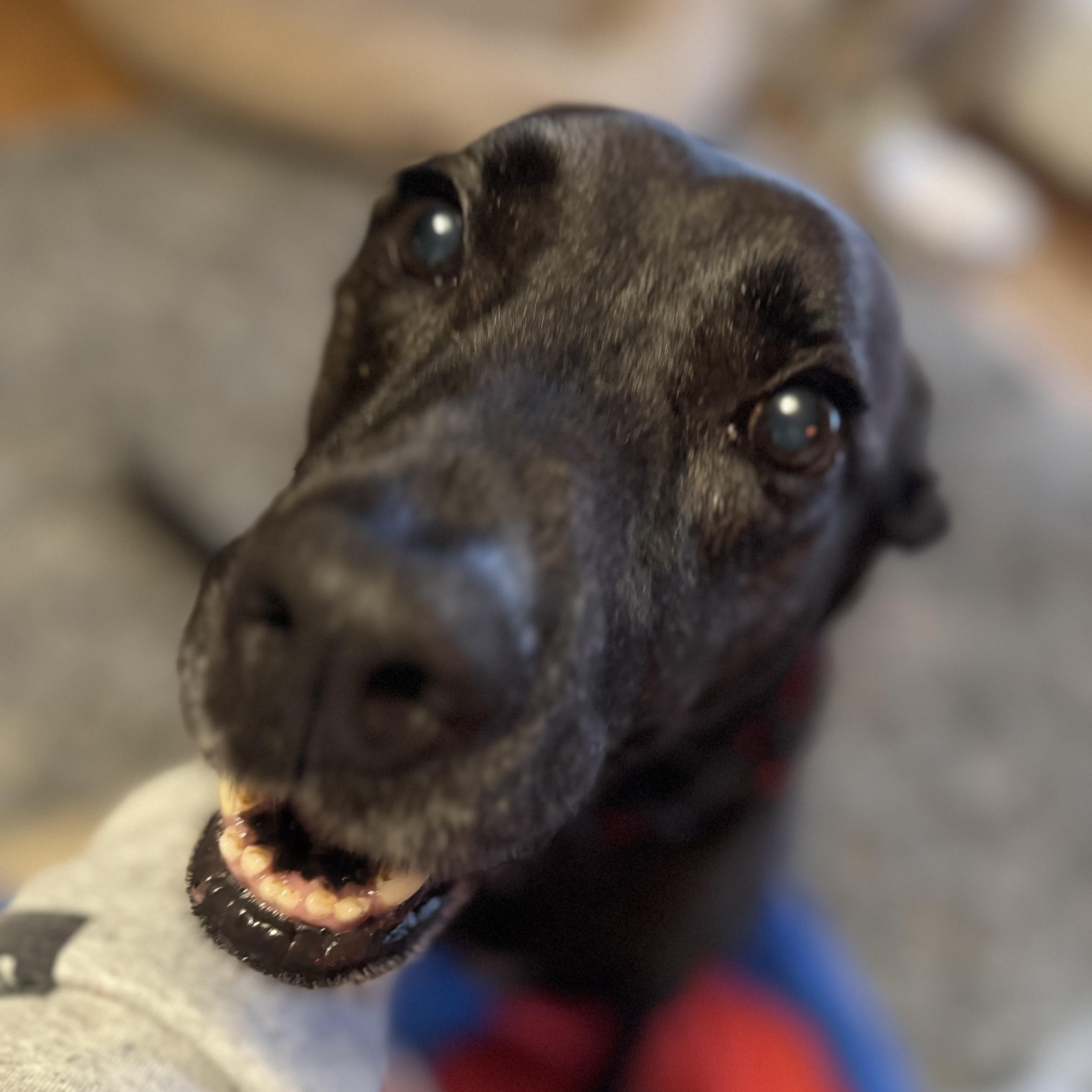 Cash — thumbnail 5