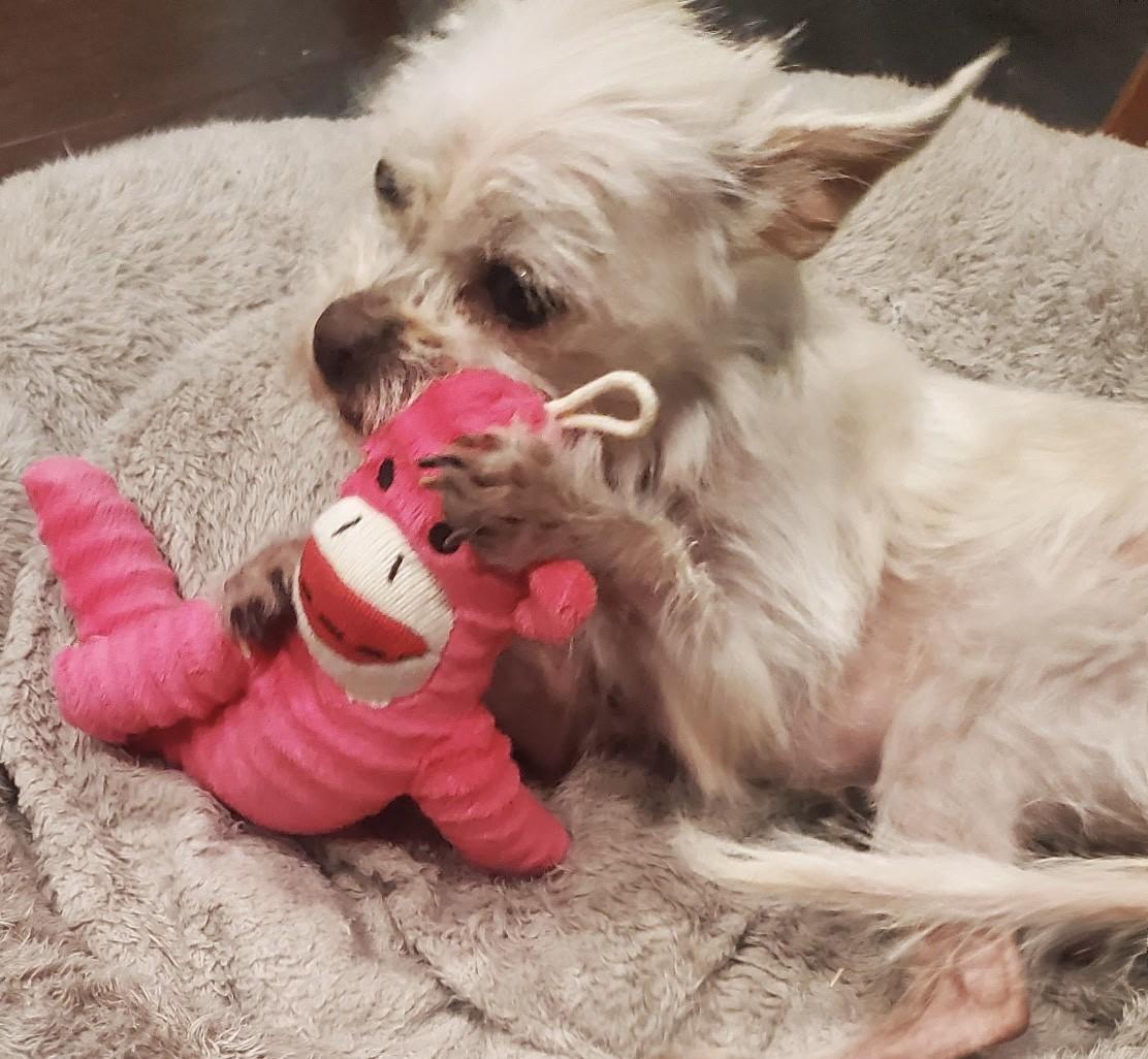 ELSA — thumbnail 3