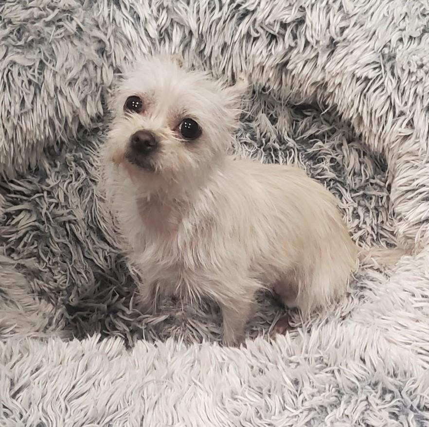 ELSA — thumbnail 6