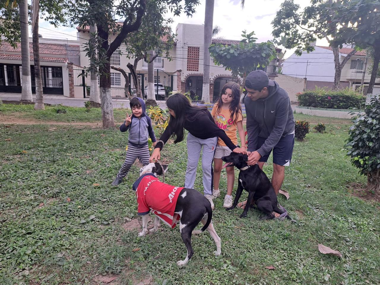 Enlarge Julieta, a Adoptable mixed breed in Vancouver, BC image 5/6