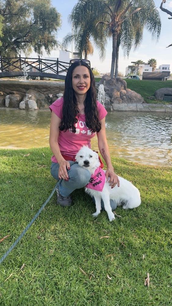 Enlarge Ellie, a Adoptable mixed breed in Gig Harbor, WA image 3/6