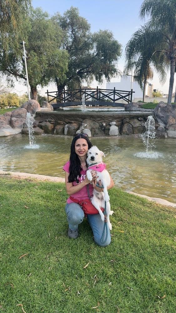 Enlarge Ellie, a Adoptable mixed breed in Gig Harbor, WA image 6/6