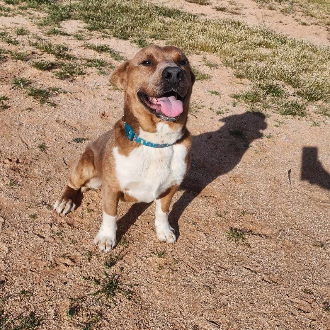 Maverick photo 2