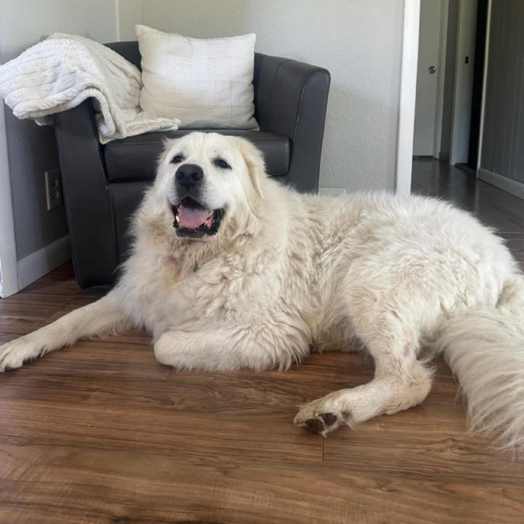 Rosie