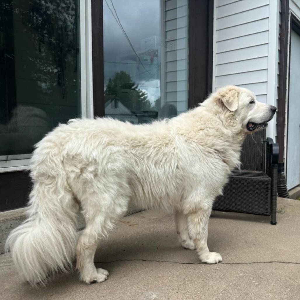Rosie