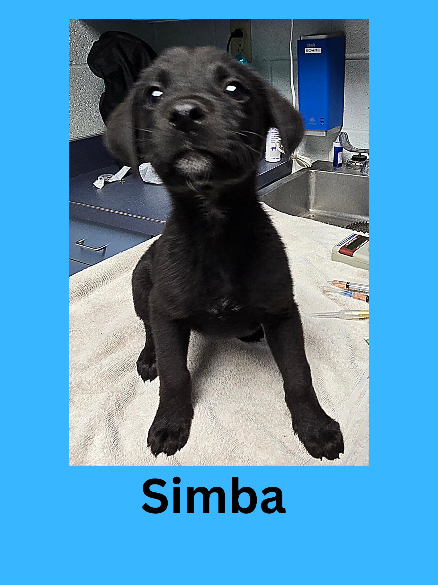 Simba