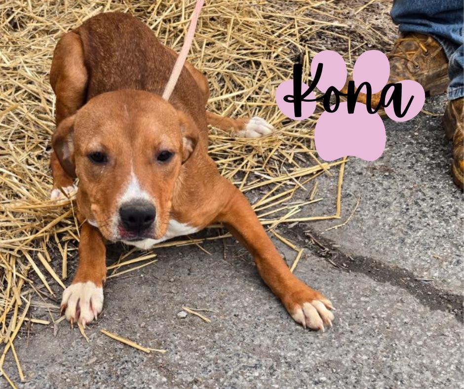 Kona