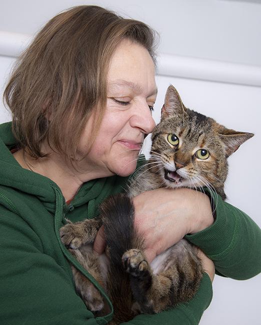 Enlarge Ciara, a ADOPTABLE Torbie in Chicago, IL image 4/4