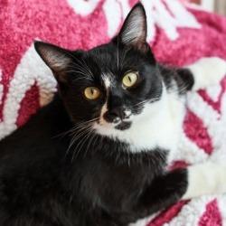 Merritt — thumbnail 2