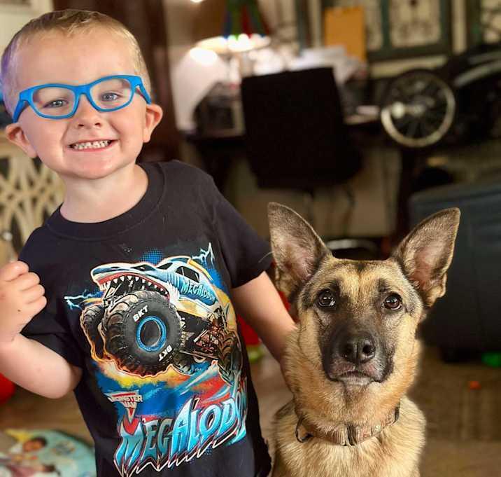 Lunetta, Adoptable, Young Female German Shepherd Dog.