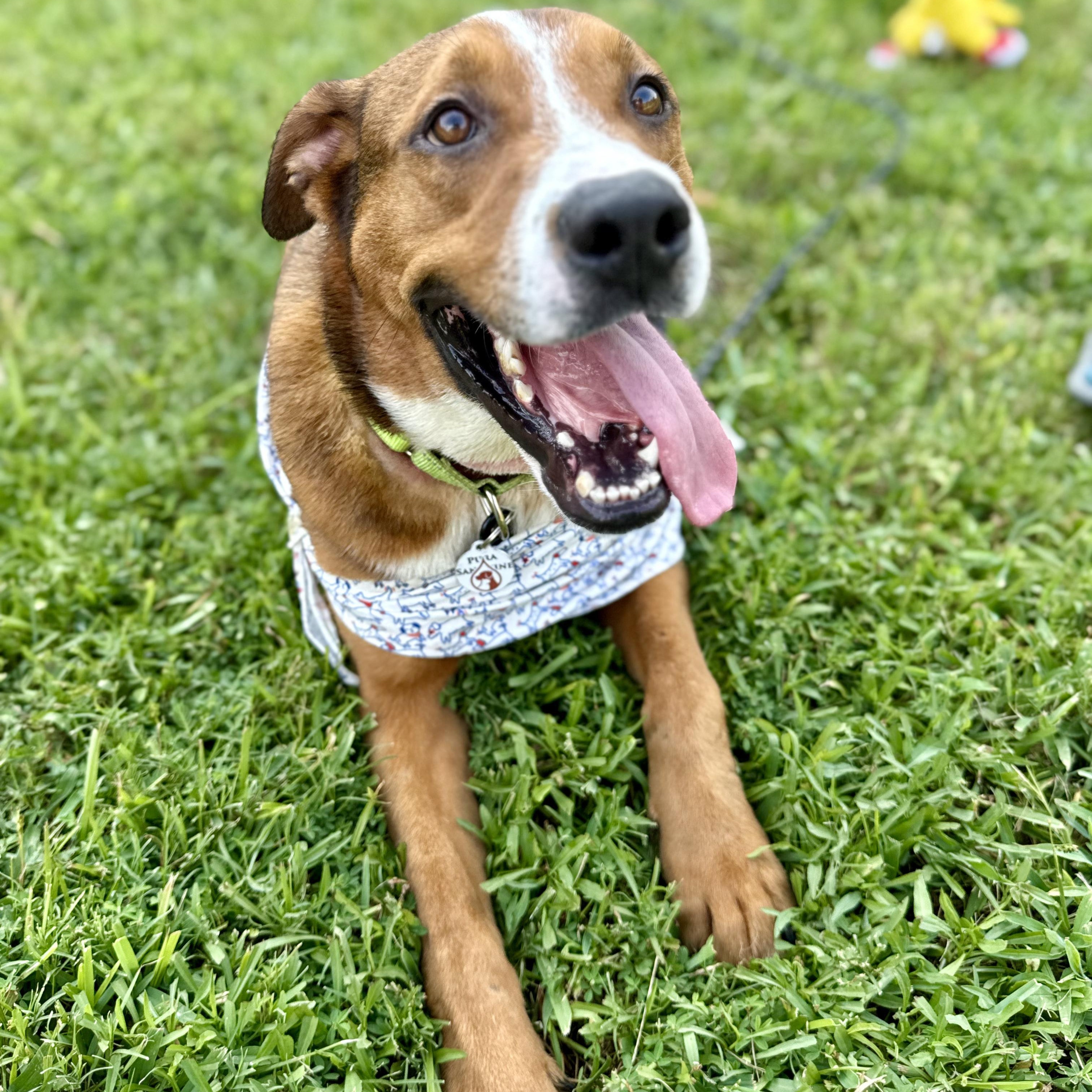 Deli — thumbnail 3