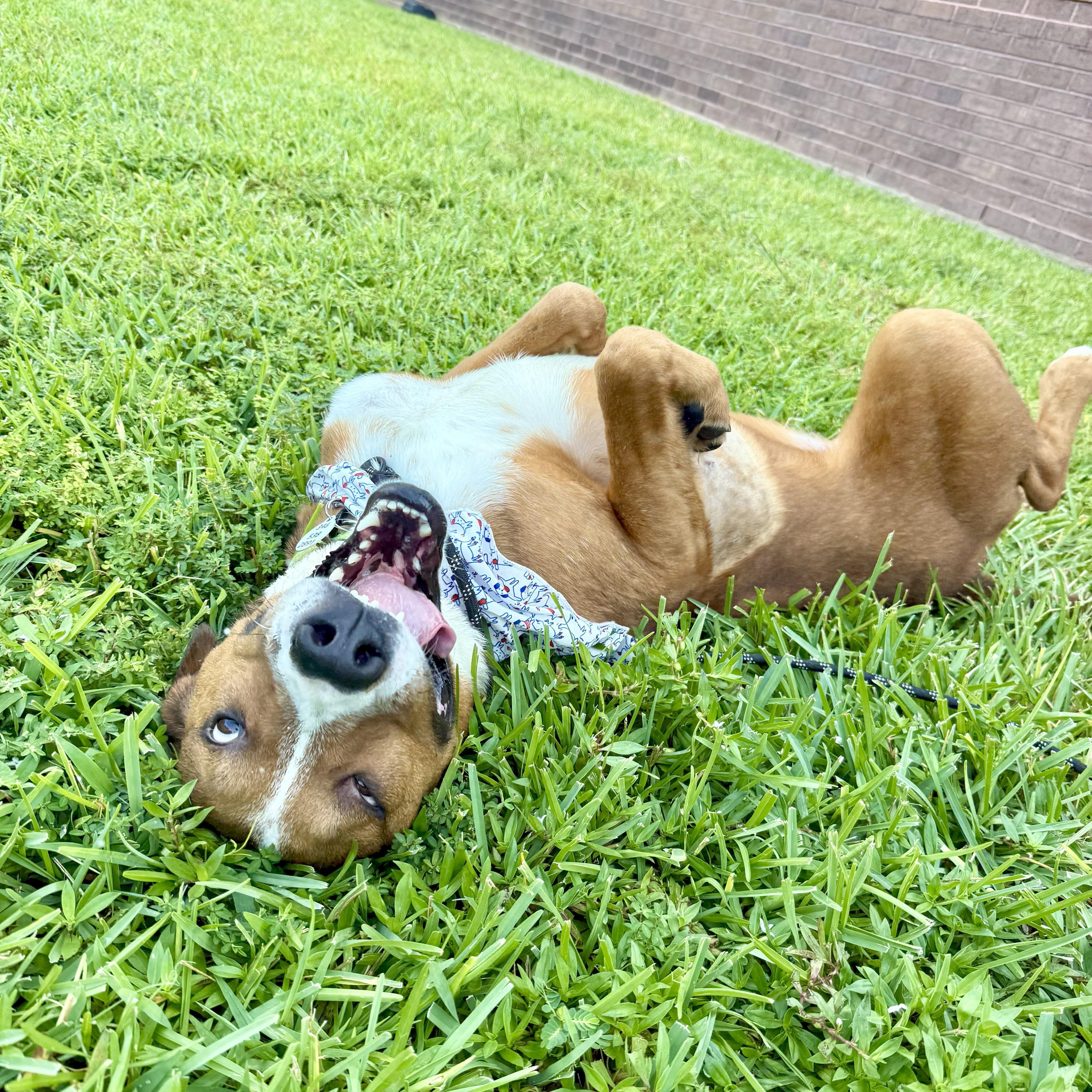 Deli — thumbnail 4