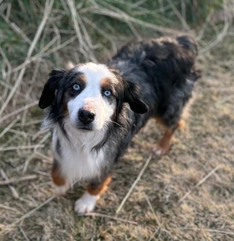 Maui — thumbnail 2