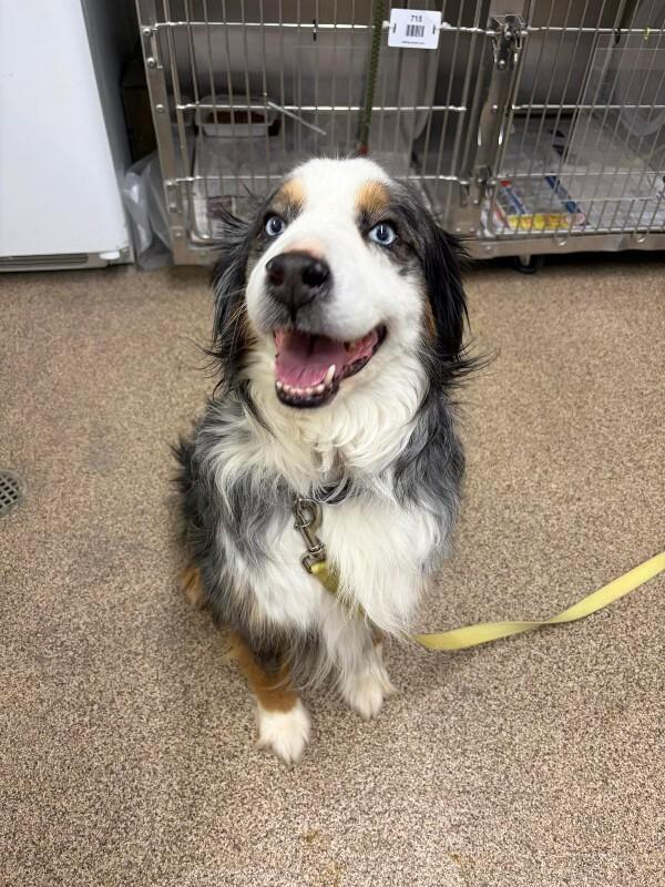 Maui — thumbnail 3