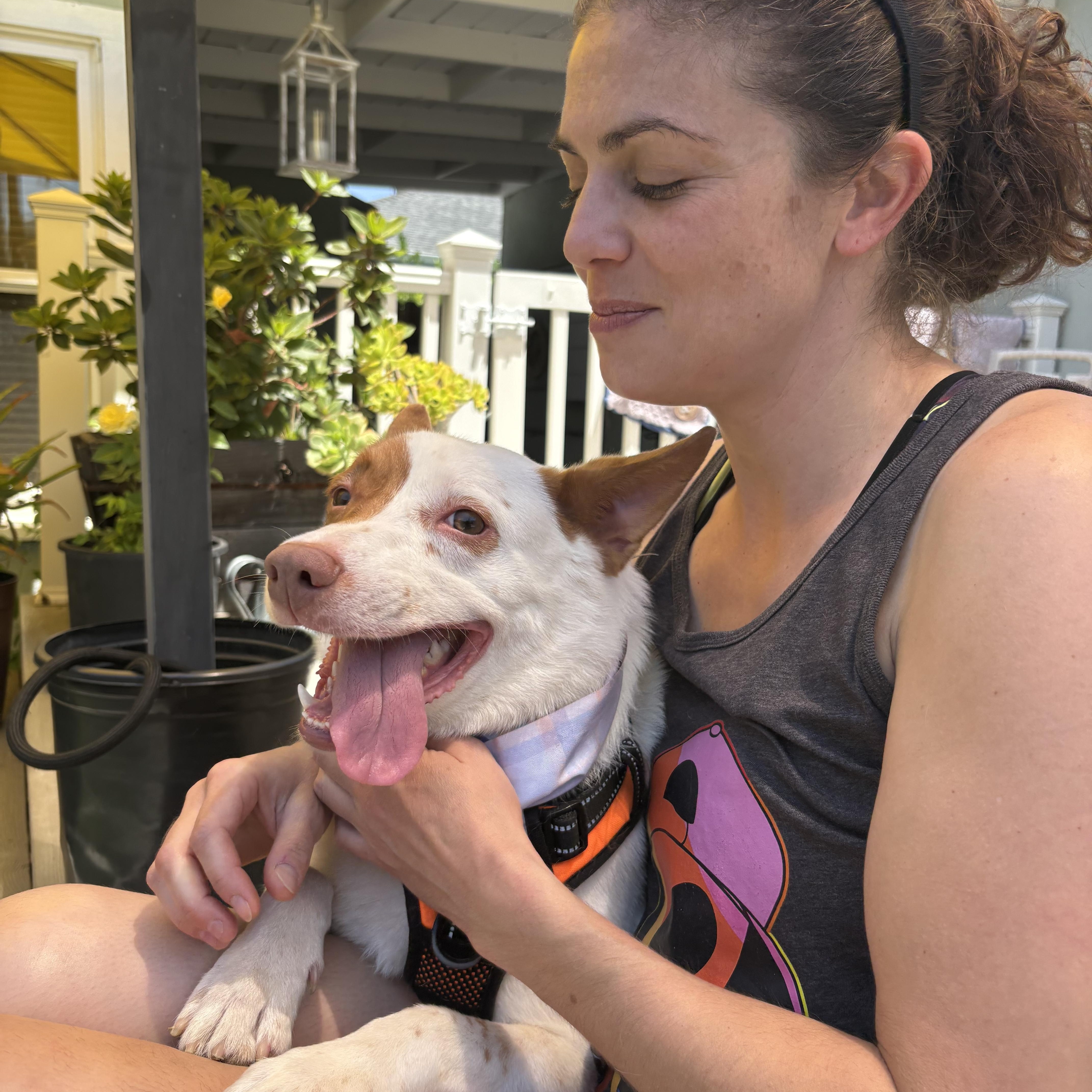 Baja, a ADOPTABLE mixed breed in Newcastle, CA image 3/6