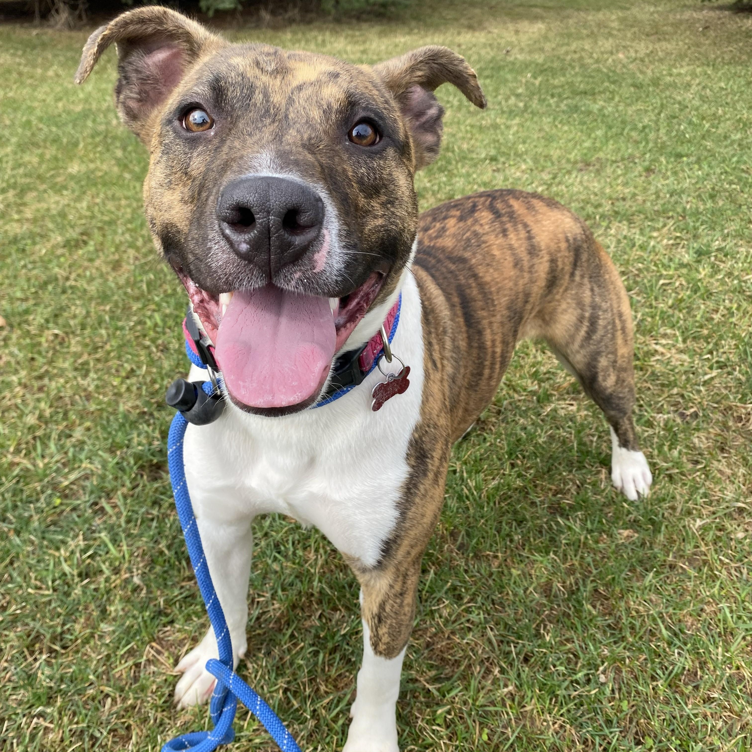 Gregory — thumbnail 2