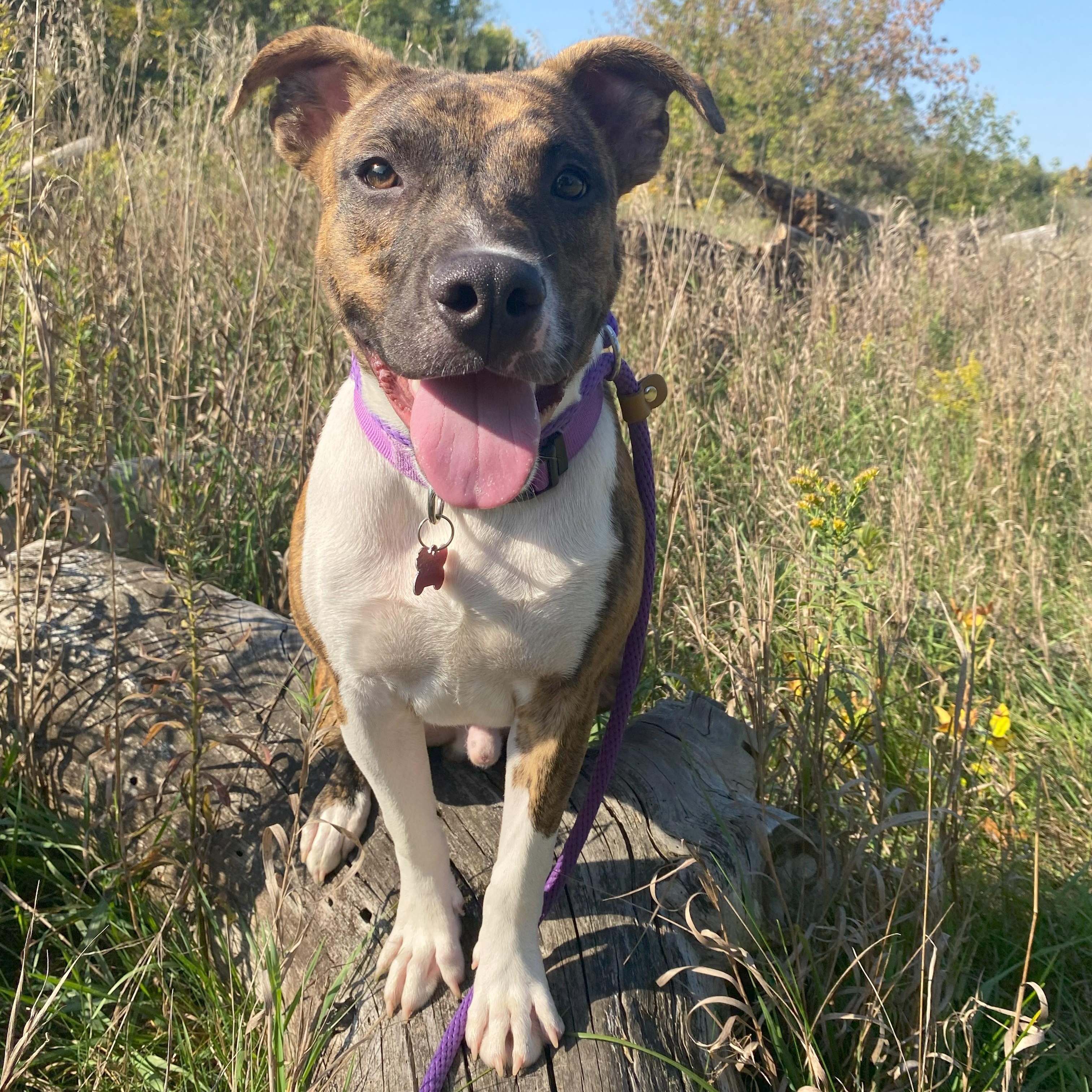 Gregory — thumbnail 3