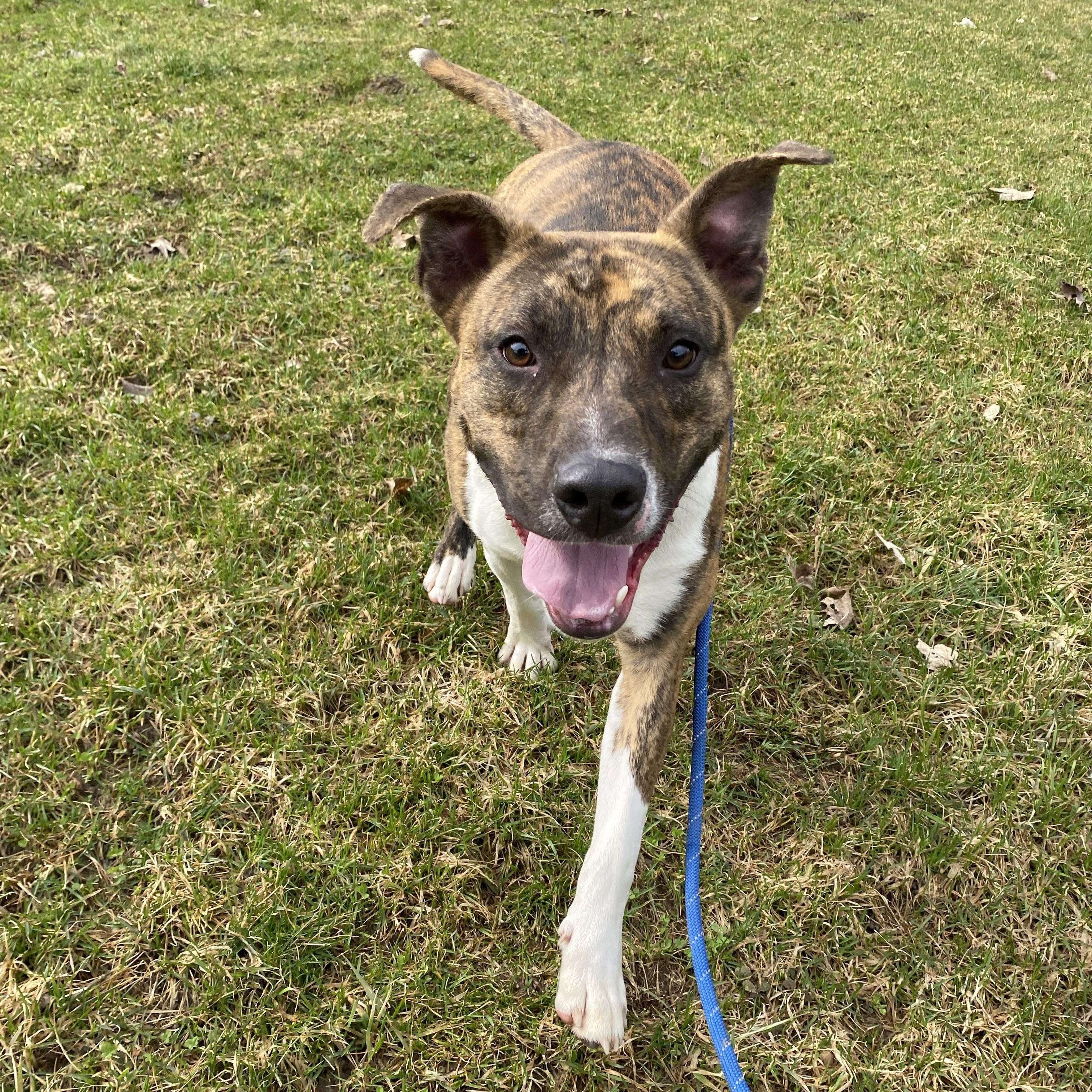 Gregory — thumbnail 4