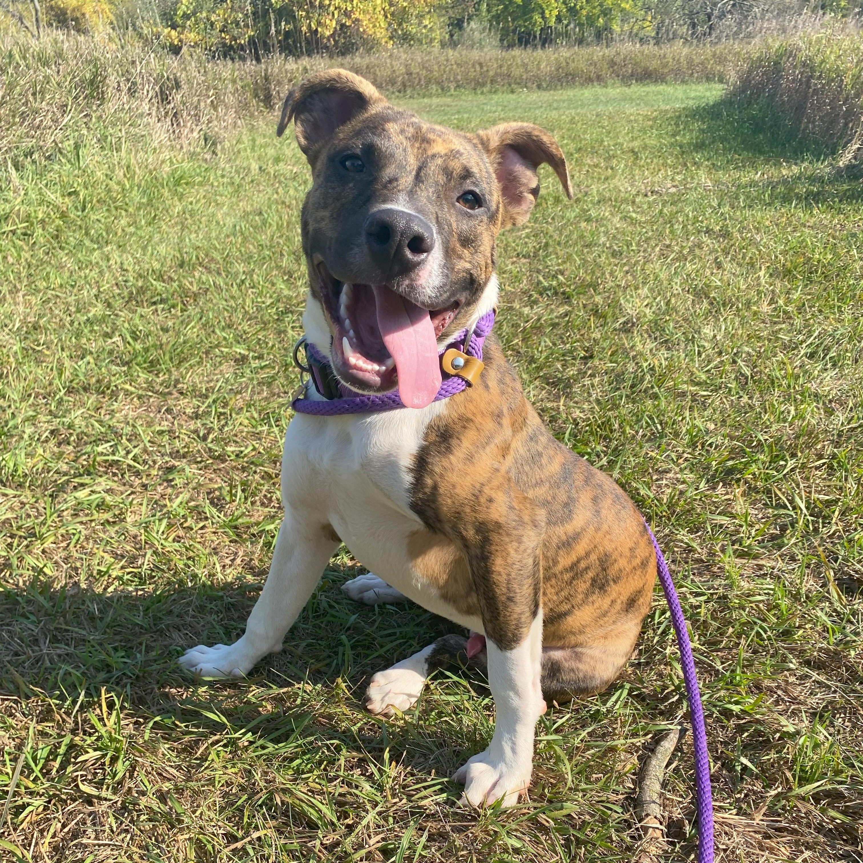 Gregory — thumbnail 5