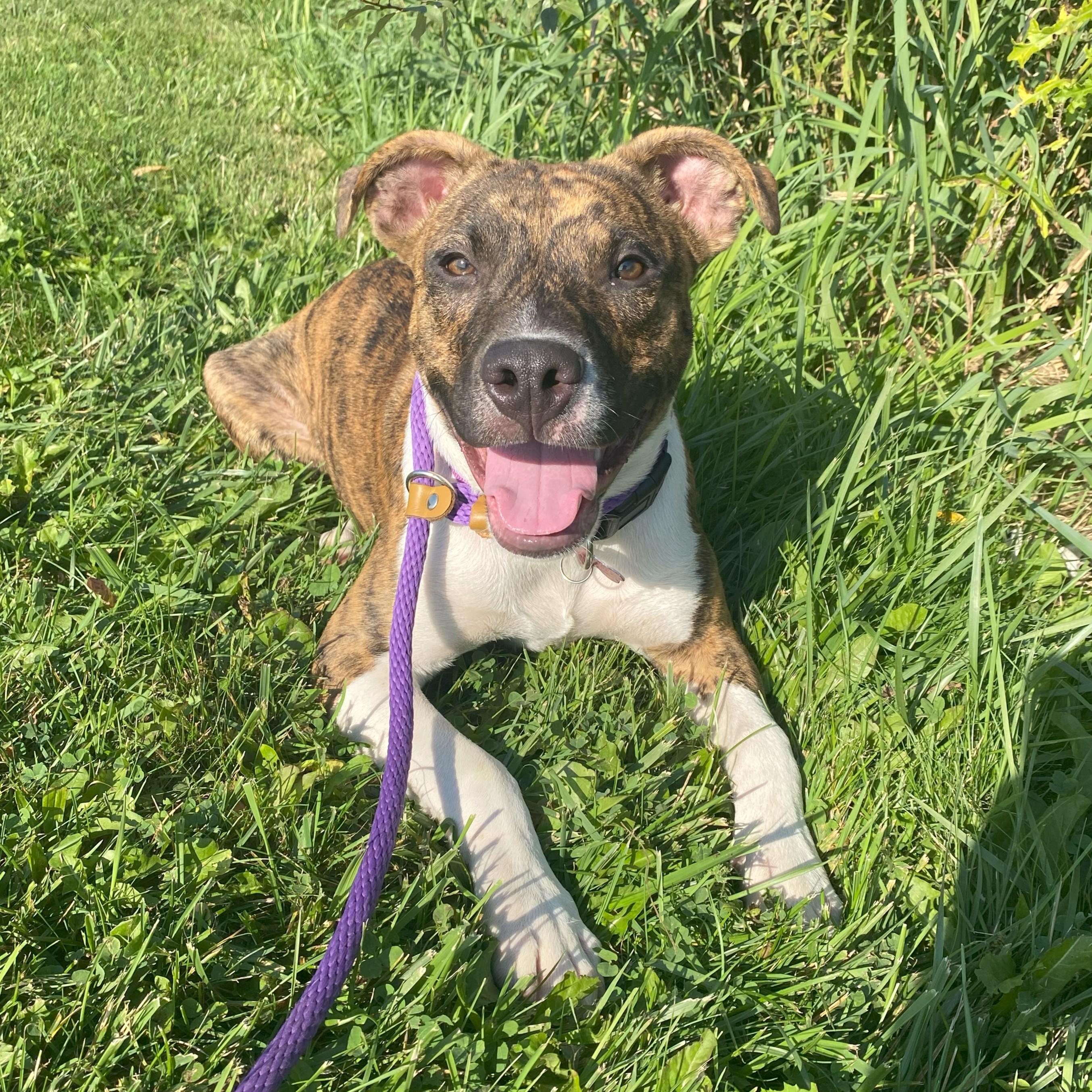 Gregory — thumbnail 6