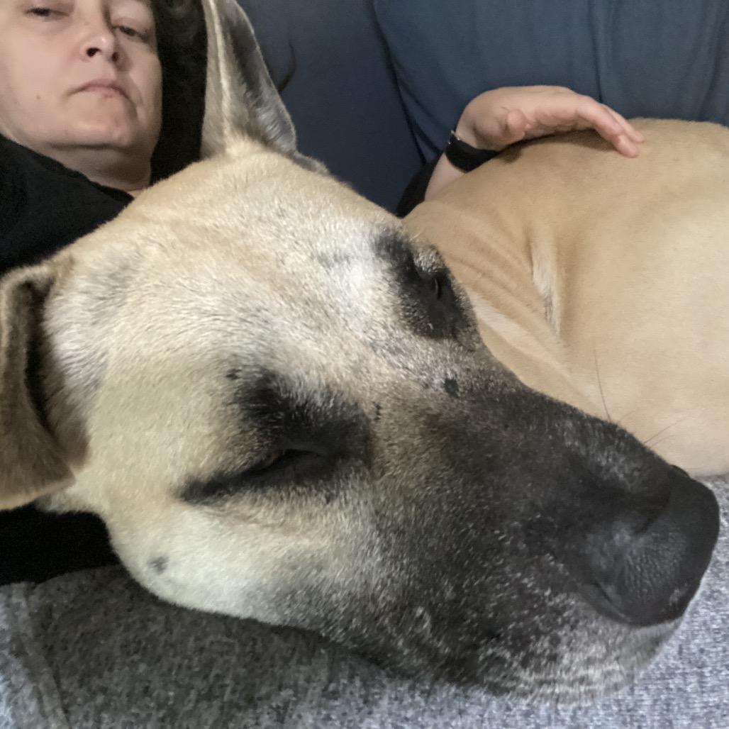 Neko — thumbnail 4