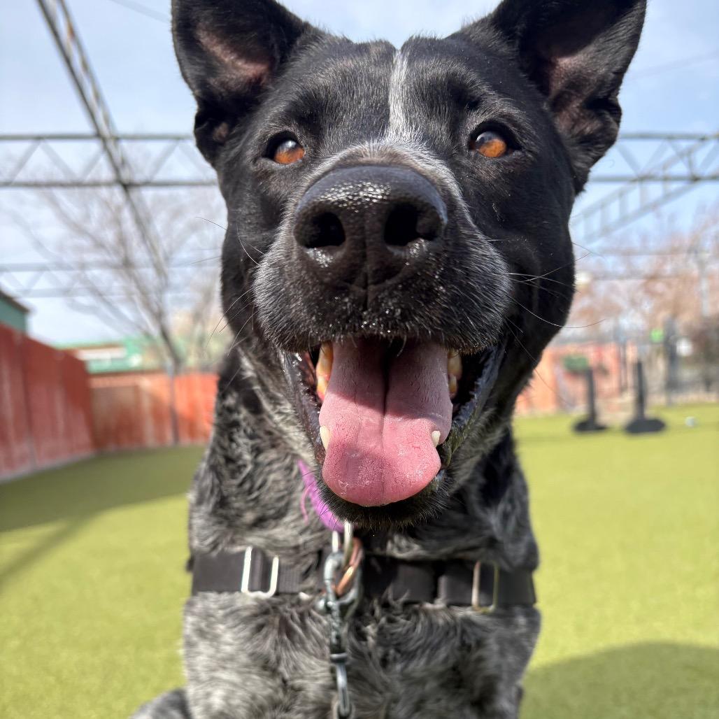 Josie — thumbnail 10