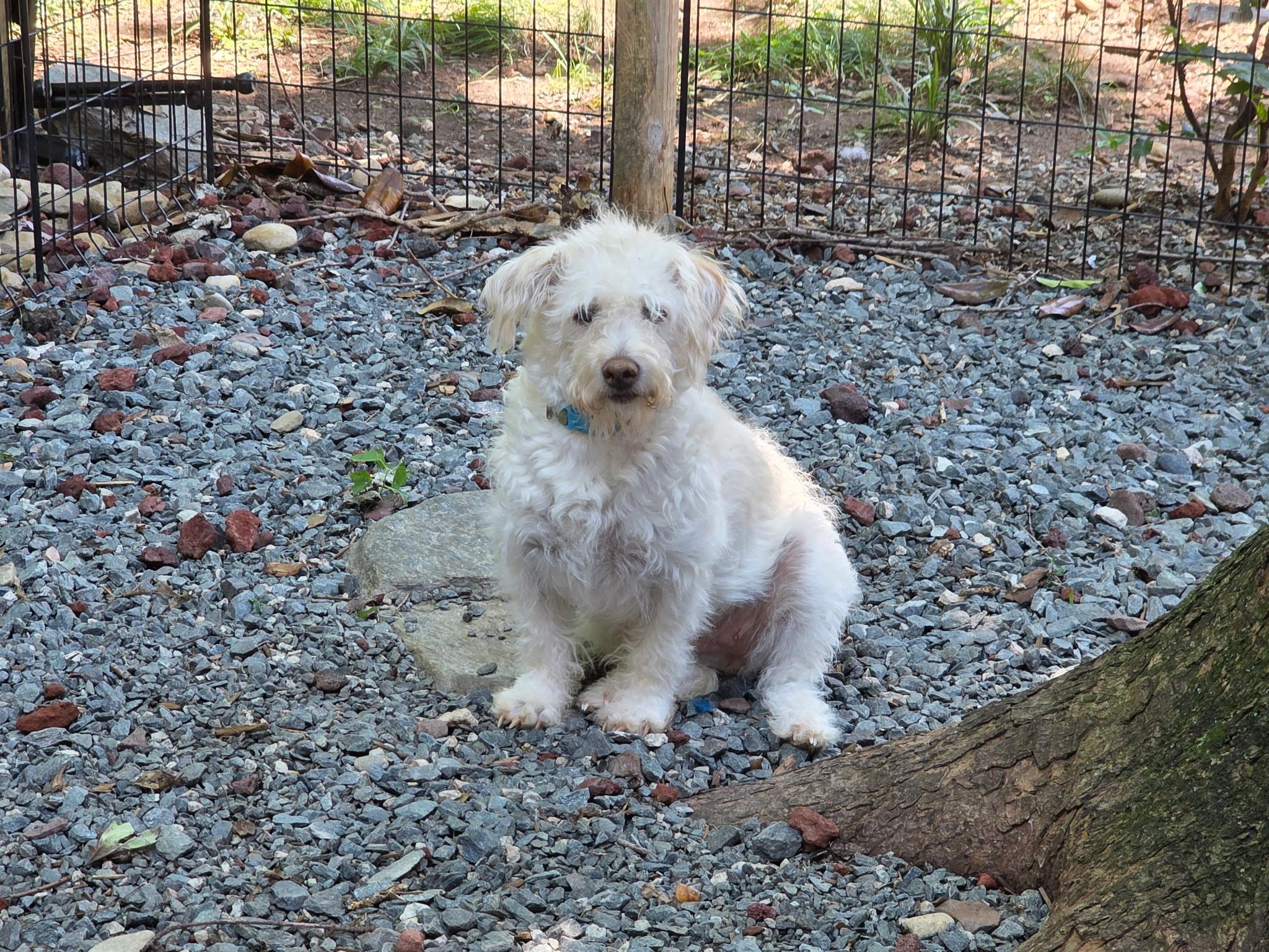 Darby VIDEO photo 2