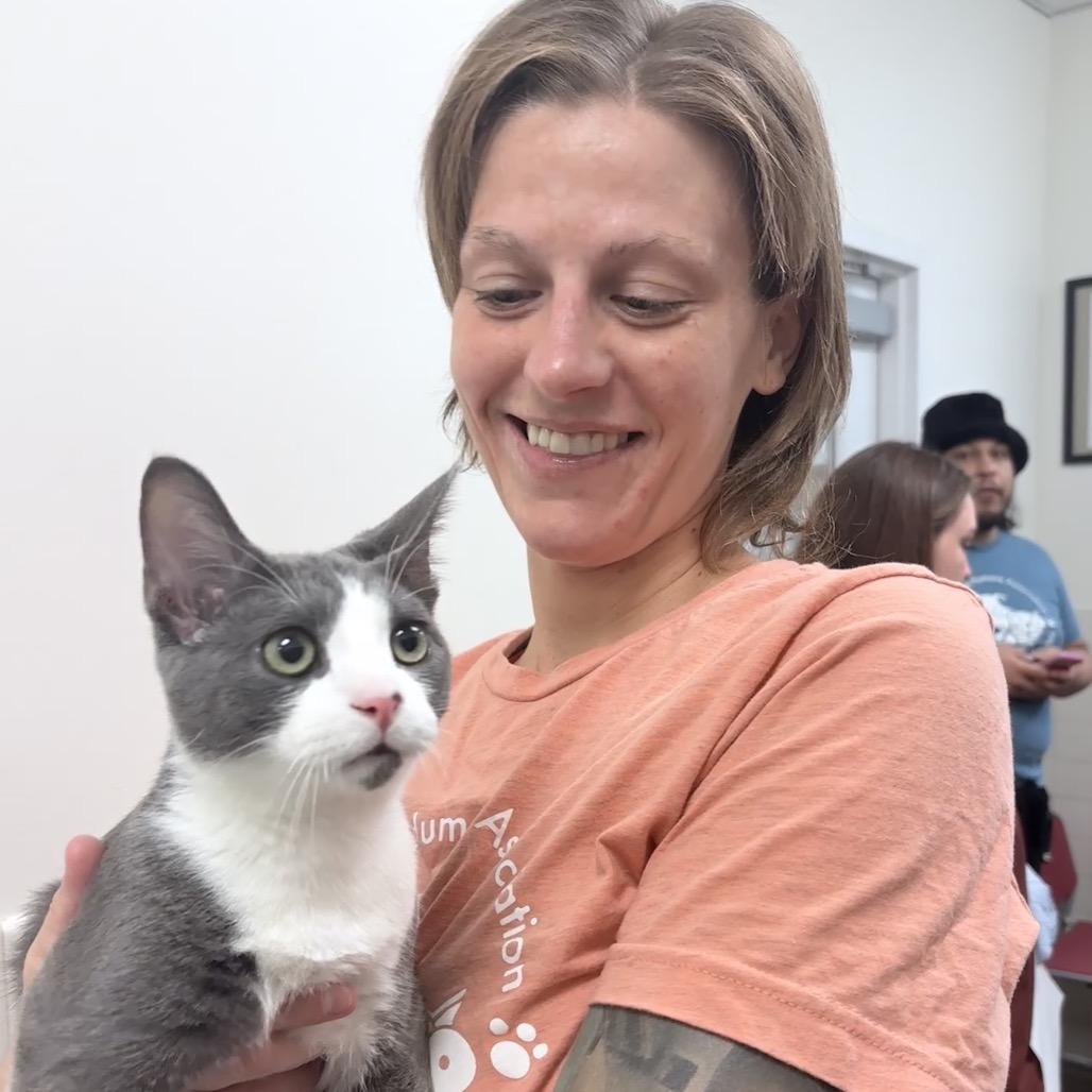 Enlarge Cactus, a Adoptable Domestic Short Hair in Nashville, TN image 3/5