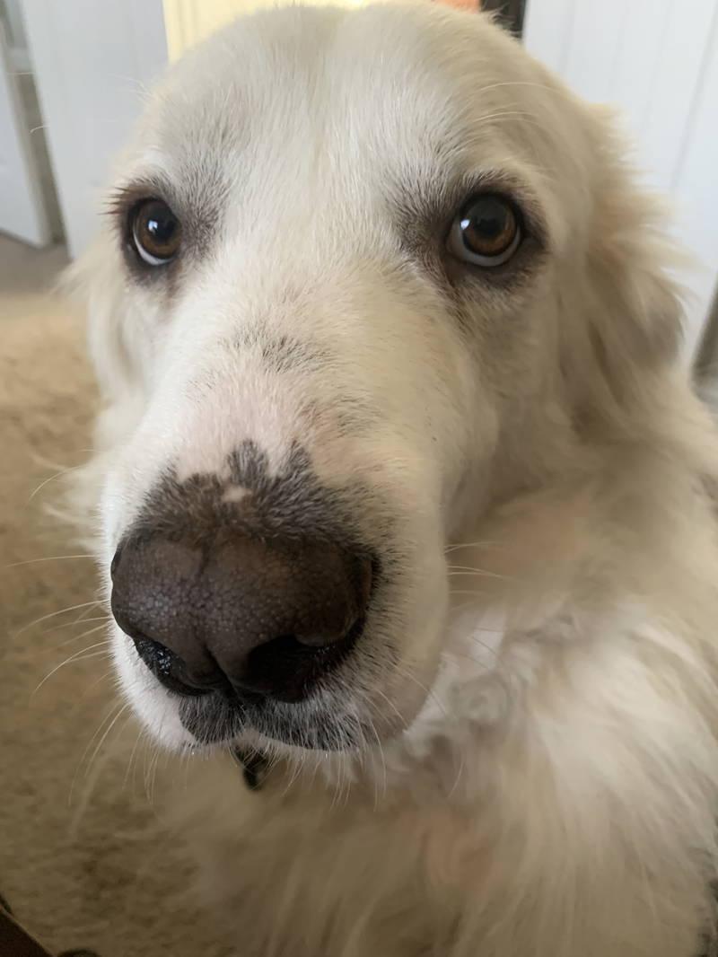 Riley — thumbnail 5