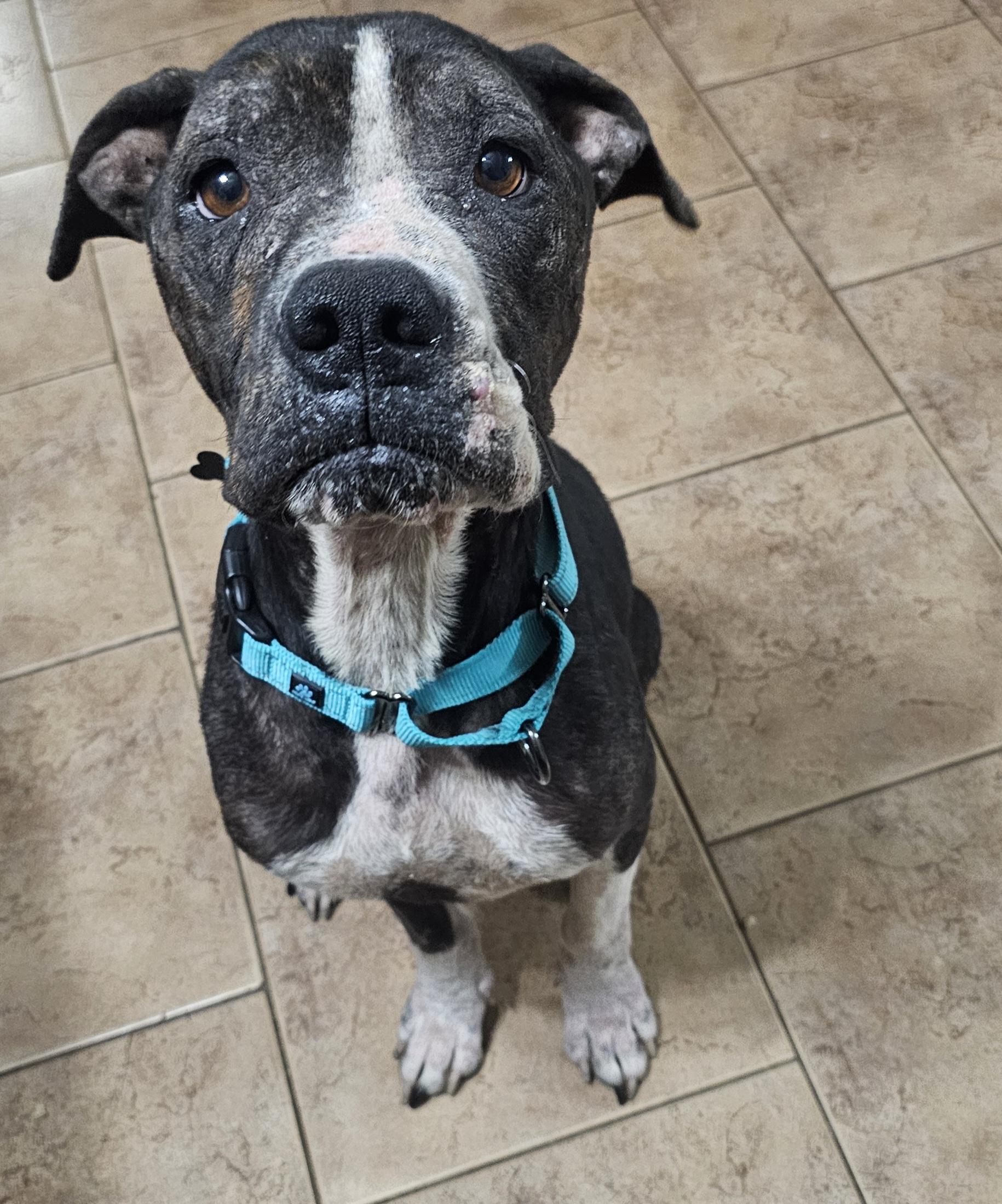 SKEETER — thumbnail 2