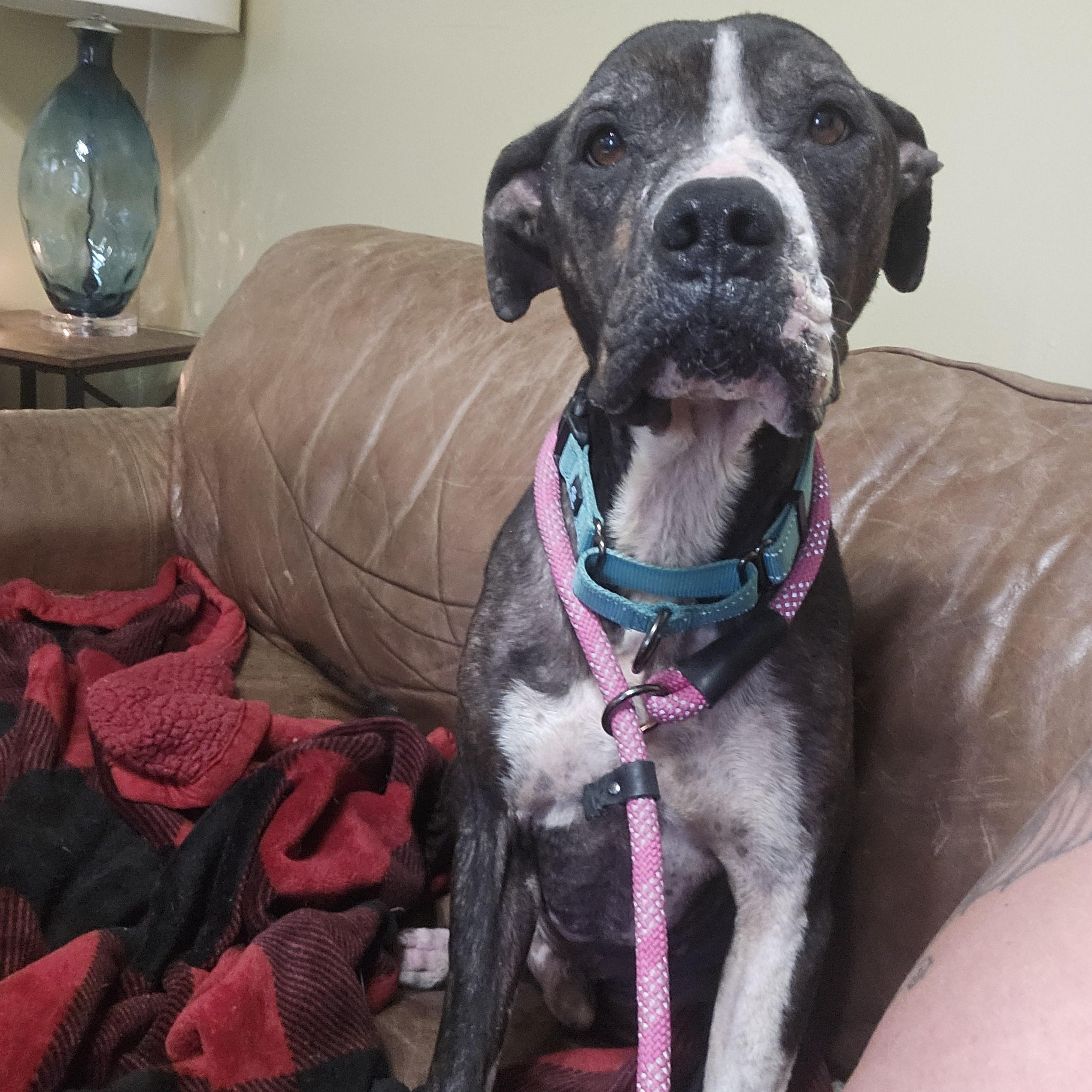 SKEETER — thumbnail 5