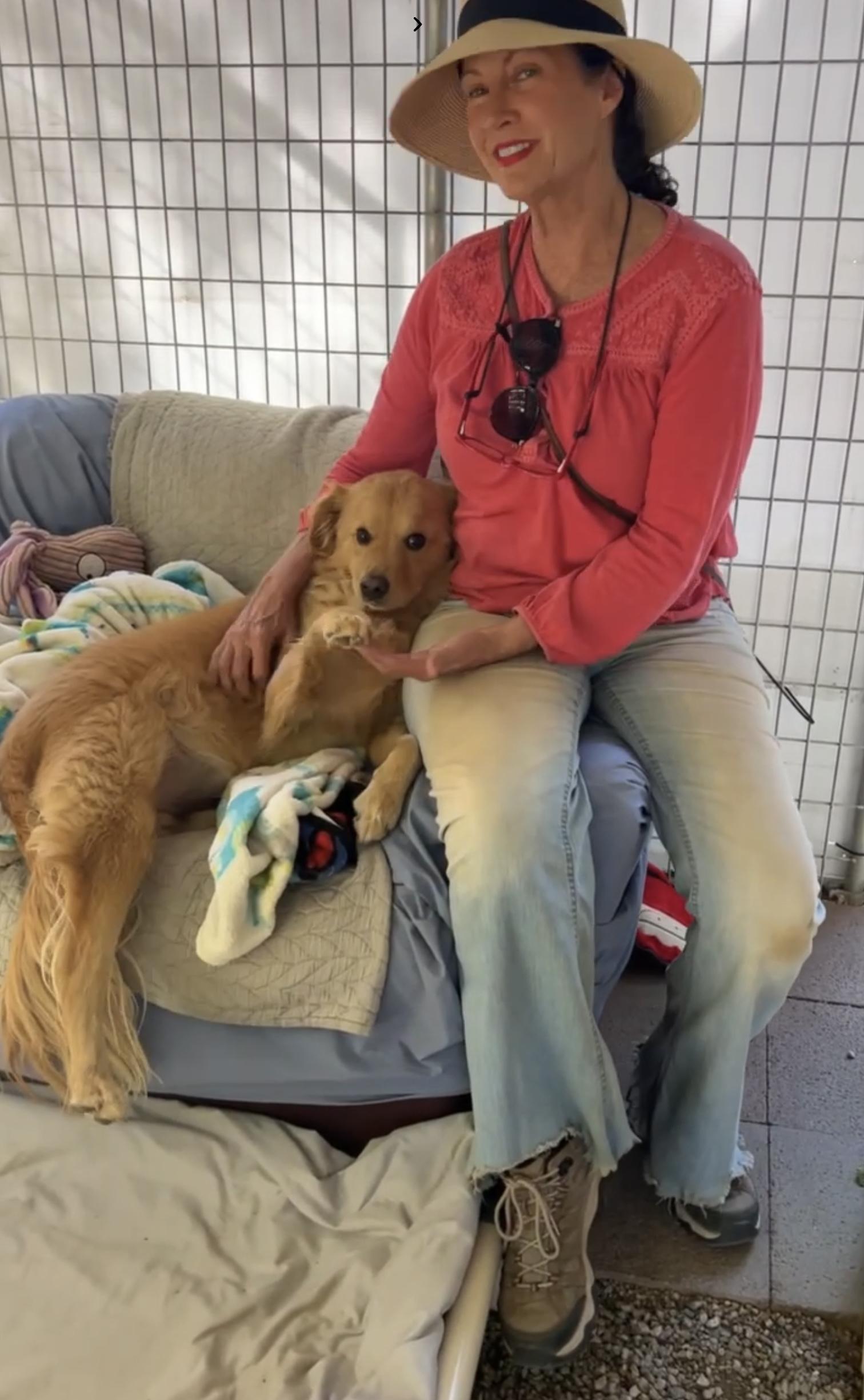 Enlarge Fluffy, a Adopted mixed breed in Agua Dulce, CA image 5/5