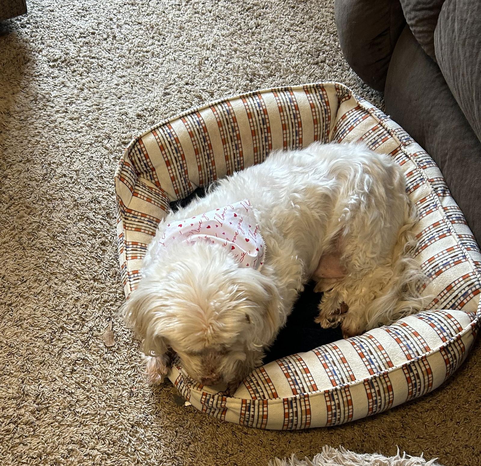 Grover Filmore — thumbnail 2