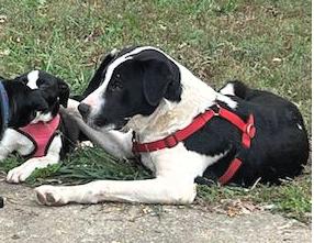 Broadway thumbnail 5