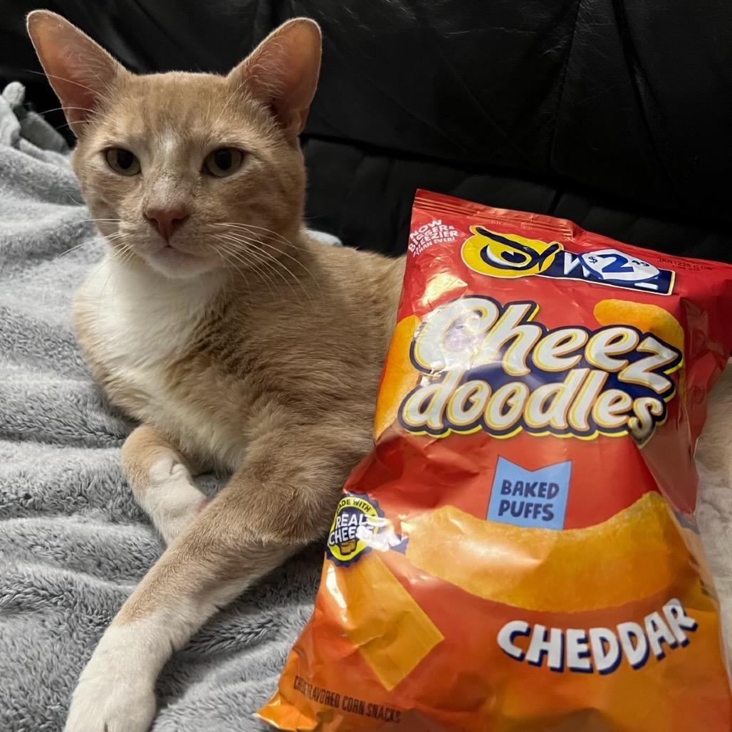 Cheez Doodle — thumbnail 6