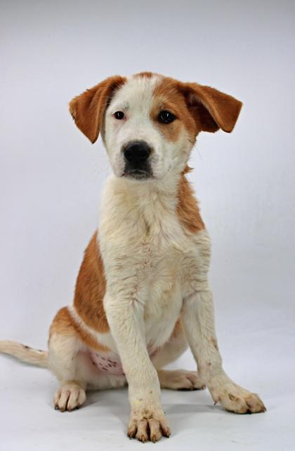 Dustin — thumbnail 2