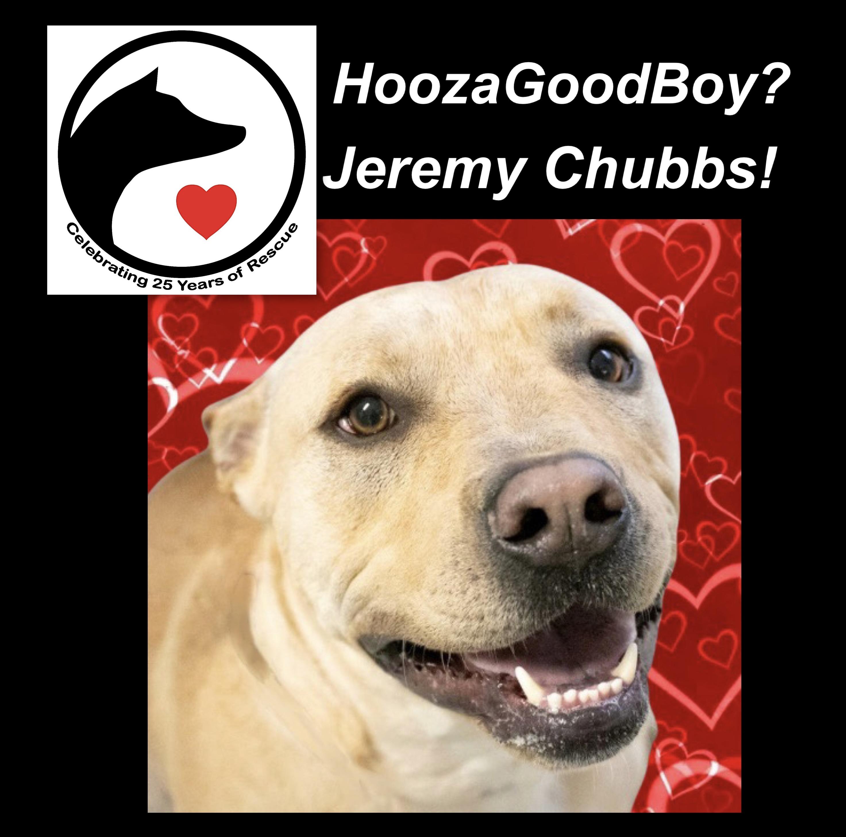 Jeremy Chubbs thumbnail 2