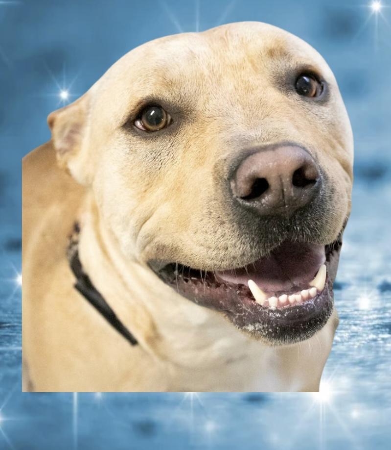 Jeremy Chubbs thumbnail 4