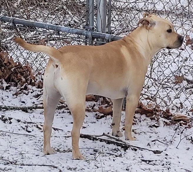 Jeremy Chubbs thumbnail 5