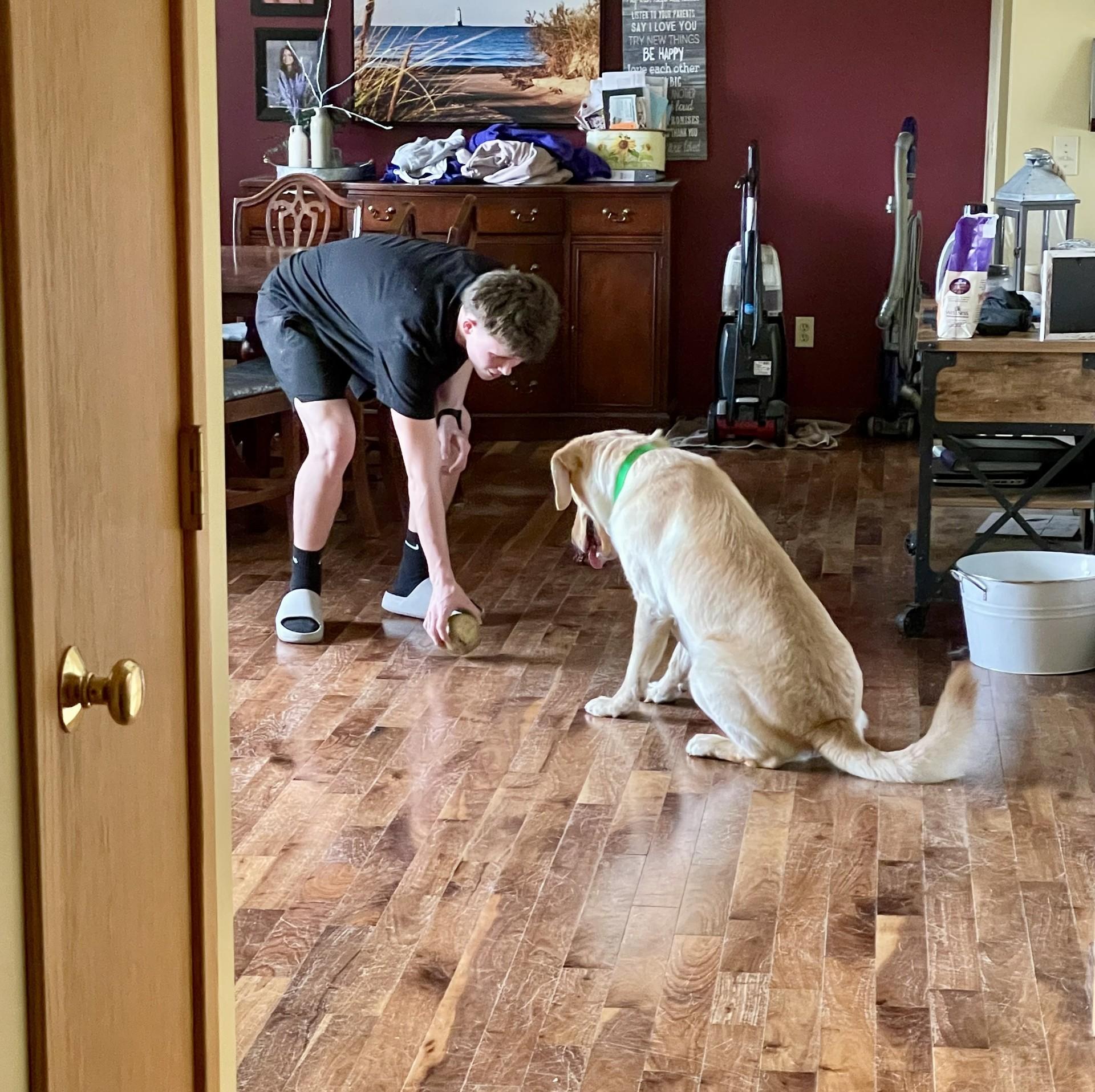 Enlarge Ronin , an adopted Labrador Retriever in Farwell, MI image 3/4