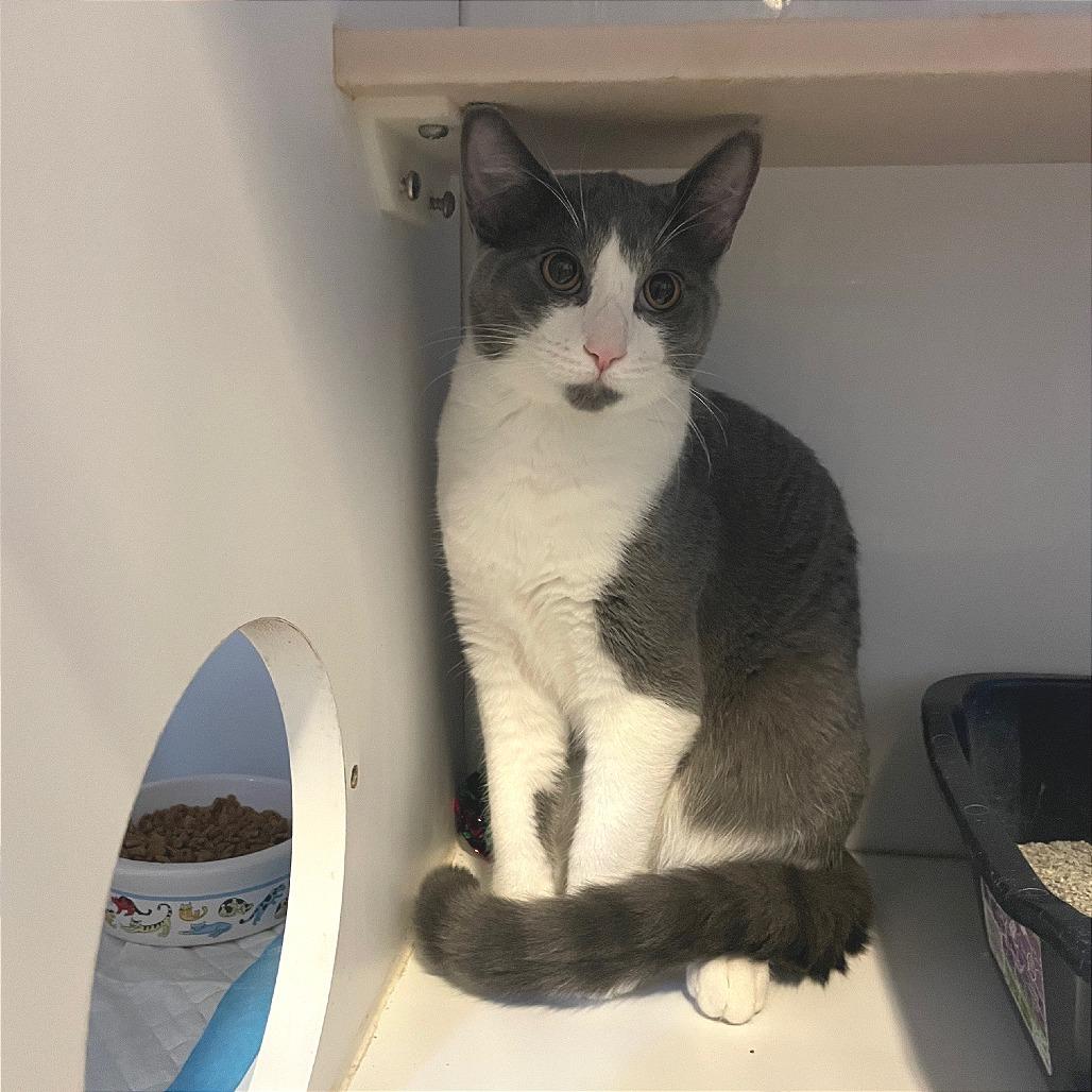 Boots — thumbnail 4