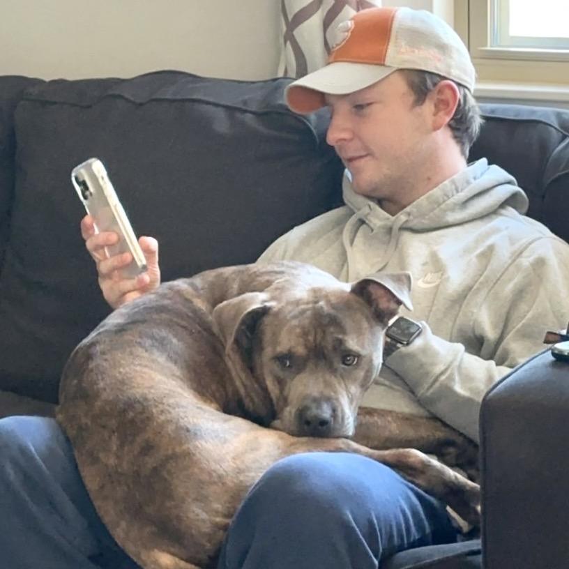 Enlarge Frankie, a Adoptable Pit Bull Terrier in Chicago, IL image 4/6