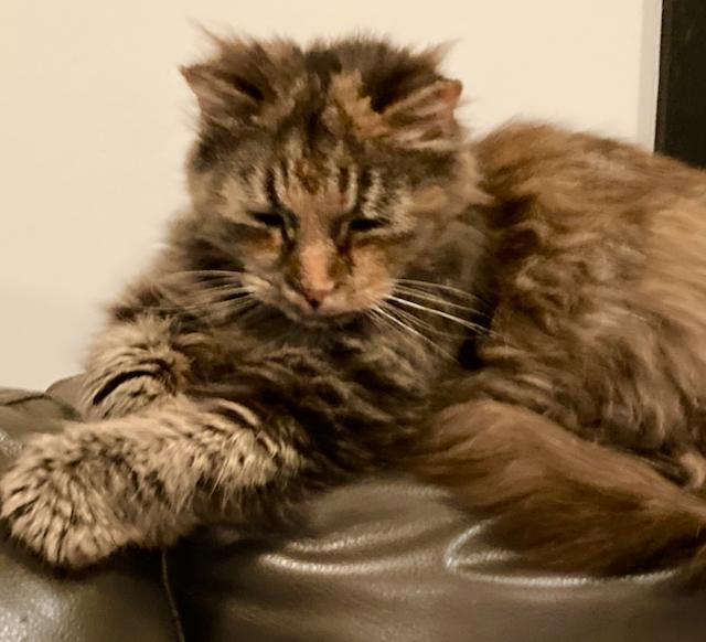 Heidi - 'beyond friendly!'