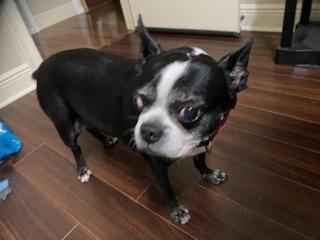 Rosie Marie Prattville  thumbnail 3