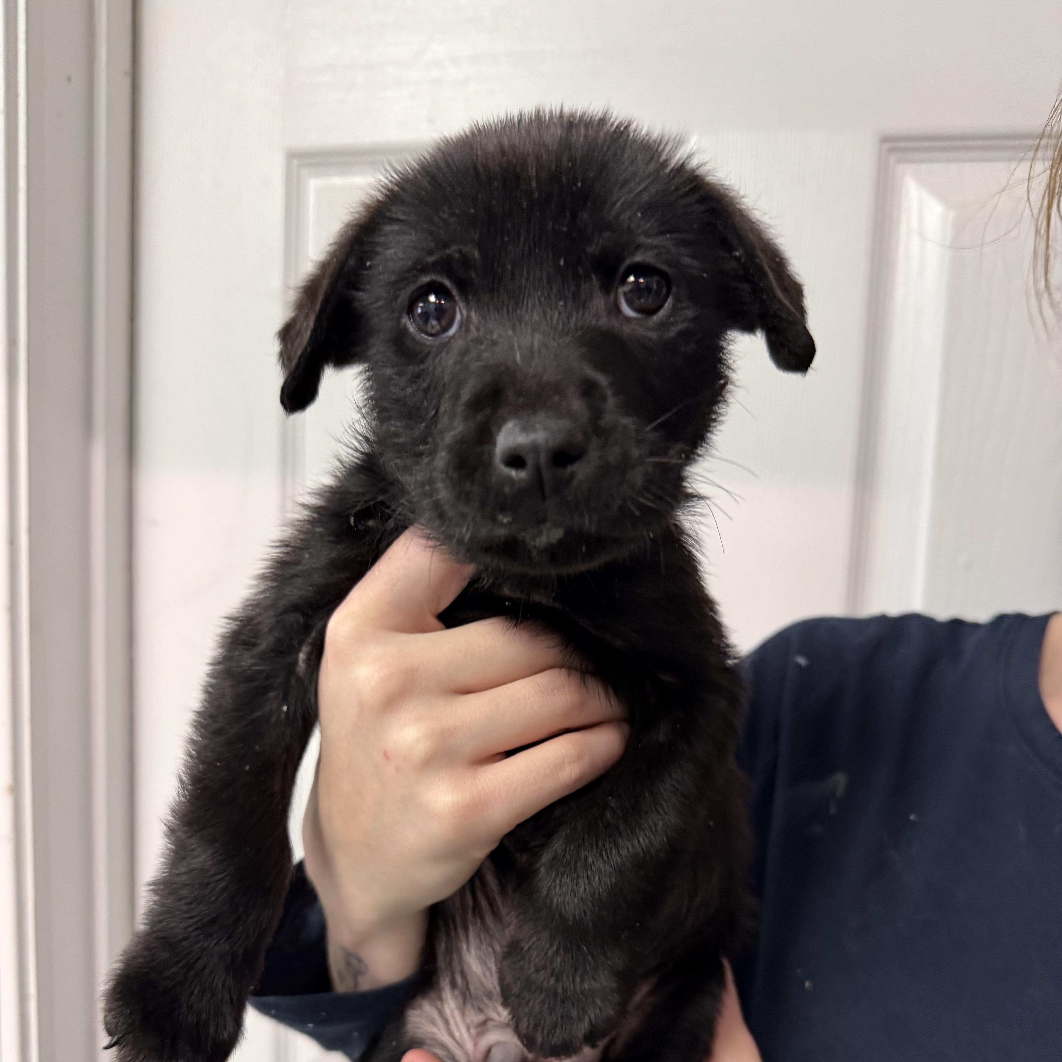 Gamer — thumbnail 2