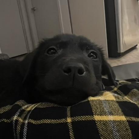 Gamer — thumbnail 6