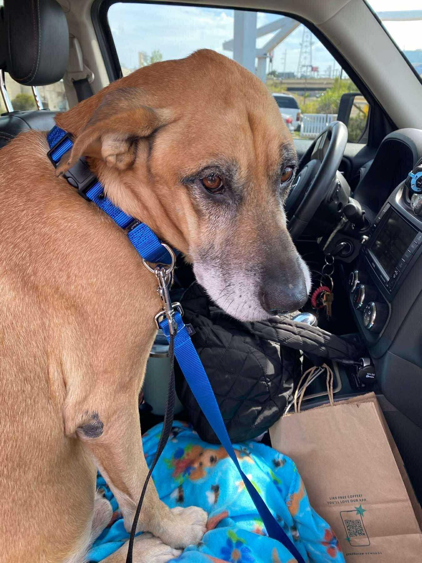 Matt — thumbnail 3